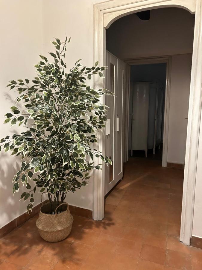 オスティア・アンティカLa Casa Di Gioiaアパートメント エクステリア 写真